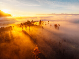 Sunset over Liptov region with and High Tatras mountains around. Misty view of tree tops with the...