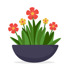 Illustration of red and yellow flowers with green leaves in a dark bowl-shaped pot on a white background. Concept of home gardening and decoration