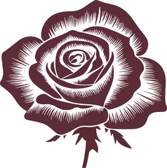 Rose Flower Vector Illustration
