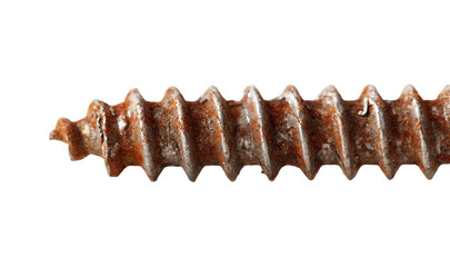 A rusty screw is shown in a close up
