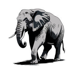 Fototapeta premium Majestic African Elephant