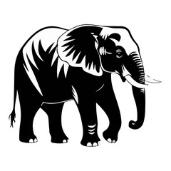 Obraz premium elephant12