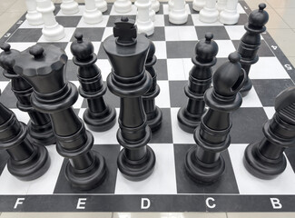 A black and white chess set with a black king and white pawns