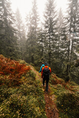Liptov region hiking in Low Tatras mountains landspace, Slovakia.