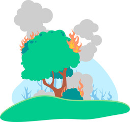 Forest Fires Illustration