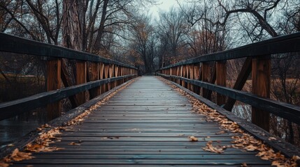 Fototapeta premium Wooden Footbridge in Autumn with Bare Trees and Fallen Leaves