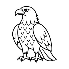 Obraz premium vector illustration of an eagle line art