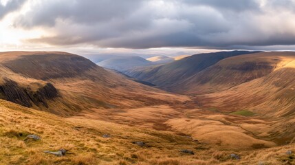 Golden meadows stretch across hills as dramatic clouds loom overhead, creating a tranquil yet melancholic atmosphere in the landscape