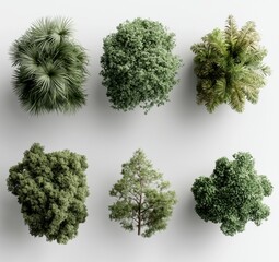 Obraz premium A set of trees depicted from a top-down perspective, 3D illustration suitable for digital compositions, illustration, 2D plans, and architecture visualization