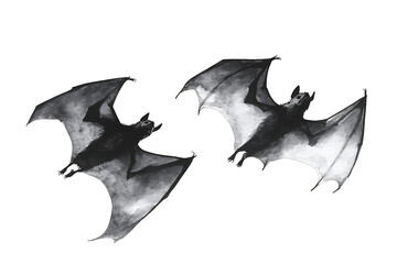 Fototapeta premium black bat isolated on white background PNG.AI GENERATED