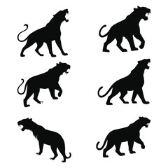 Tiger black set silhouettes of animals vector white background