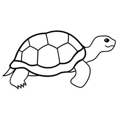 turtle vector illustration