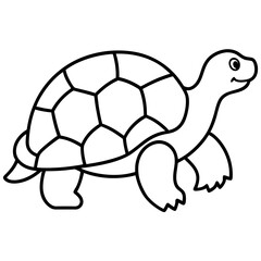 turtle vector illustration