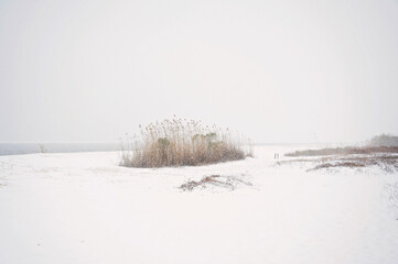 Snow-covered beach in a rare winter scene on the Gulf Coast