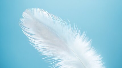 Fototapeta premium Serene White Feather Against a Pastel Blue Background