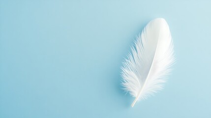 Serene White Feather on a Pastel Blue Background: A Symbol of Lightness and Tranquility
