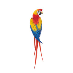Naklejka premium Colorful macaw parrot, detailed illustration, vibrant plumage, isolated