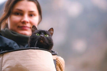 Black cat in backpack while hiking scenic mountain trail