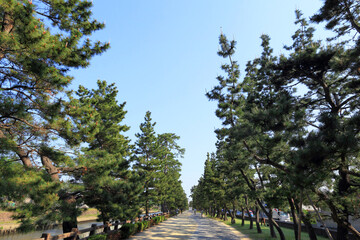 草加松原遊歩道