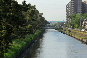 草加松原遊歩道脇の綾瀬川