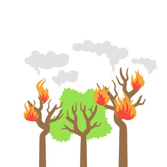 Forest Fires Illustration