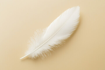 Obraz premium A single delicate white feather resting on a warm beige surface, emphasizing softness, purity, and lightness in a minimalist composition. 