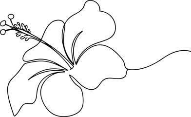 Elegant SingleLine Hibiscus Flower Drawing, Simple Floral Art