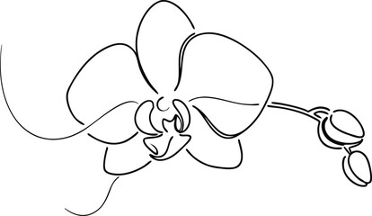 Elegant SingleLine Orchid Drawing, Botanical Line Art, Floral Design