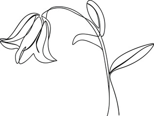 Singleline drawing of a wilting lily flower blossom