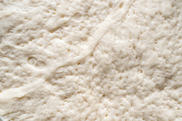 Close-up of fermented bread dough with visible bubbles and texture