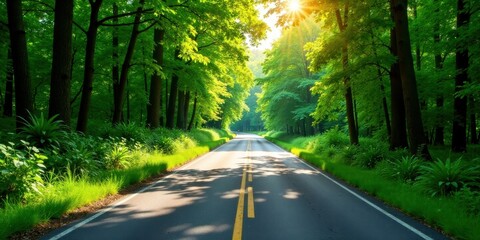 Obraz premium Sunlit Road Through Lush Green Canopy A Serene Drive in Nature's Embrace