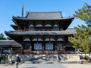 Horyuji Temple– A historic wooden temple showcasing Japanese architecture.