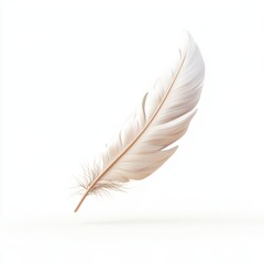Obraz premium single feather drifting gently in the air, representing lightness and peace, isolated on white.