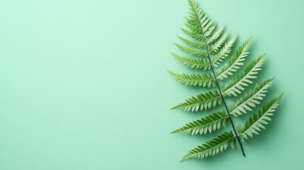 Fresh green fern leaf beautifully lies on a pastel background