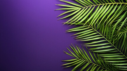 Obraz premium Purple background, palm leaves, tropical, summer, design, copy space, nature, invitation