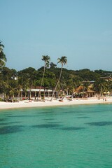 A tropical beach scene with palm trees and clear turquoise water.