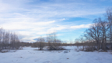 Snowy field with trees in the background