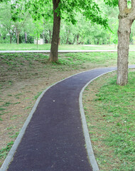 Path in a park with a tree on the right side