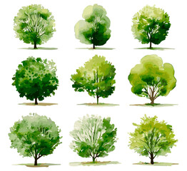 Vector design illustration of architectural tree in handwritten style in watercolor style
