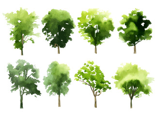 Vector design illustration of architectural tree in handwritten style in watercolor style