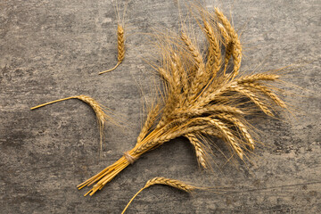 Sheaf of wheat ears close up and seeds on colored background. Natural cereal plant, harvest time...