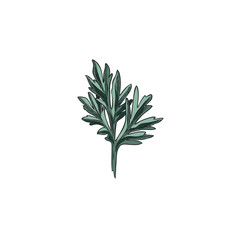 Wormwood leaf sketch vector icon, hand drawn sagebrush essential herb, wild flower herbarium, Artemisia medical plant