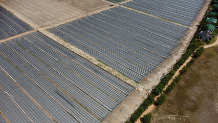 Open farmland with irrigation system irrigating the light brown soil
