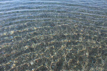 Fototapeta premium Bottom of the Aegean Sea