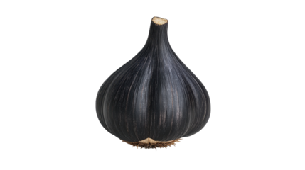 Fresh black garlic bulb with unique shape and rich flavors perfect for culinary use. transparent background