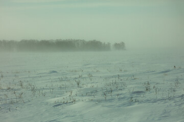 misty morning in the morning