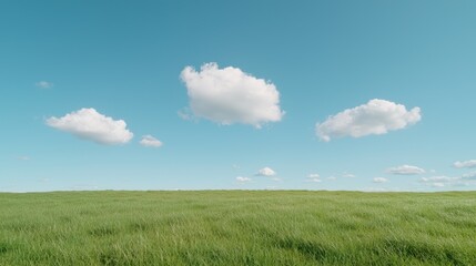 Obraz premium Open Field Under a Clear Sky