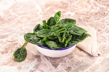 Fresh green spinach leaves heap
