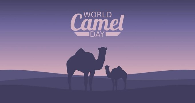 world camel day motion video, ideal for world camel day celebration