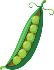 Peas vector art with a white background. Pod of green peas on white background illustration